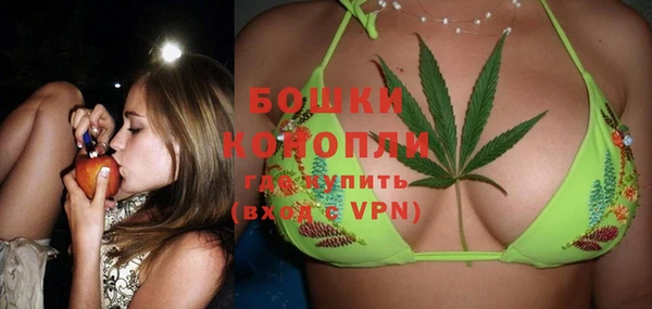 МДПВ Богородицк